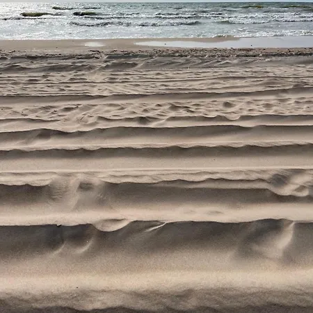 بيت للعطل Butterfly