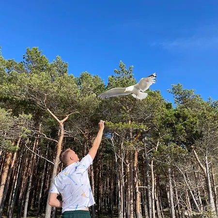 Butterfly بالانغا