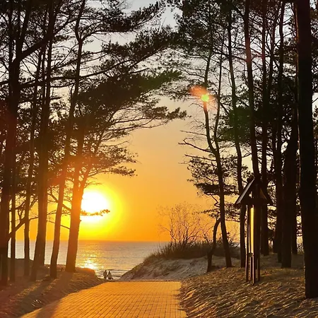 Butterfly بيت للعطل