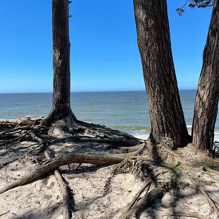 بيت للعطل Butterfly *