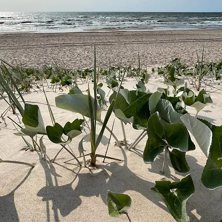 Butterfly Poilsio namai *