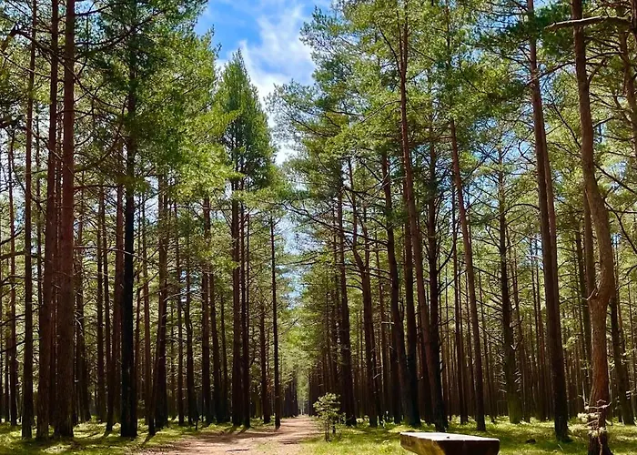 Butterfly * بالانغا