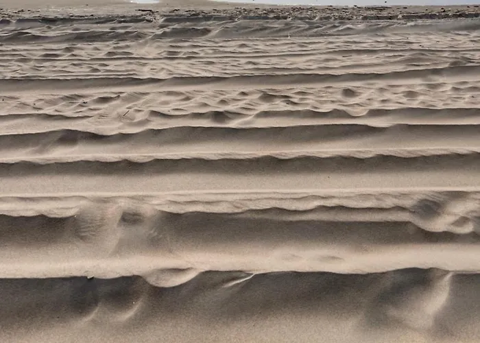 بيت للعطل Butterfly