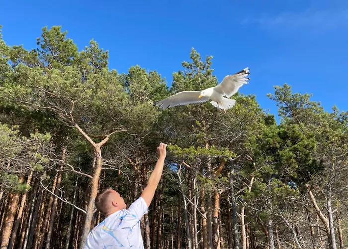 Butterfly بالانغا