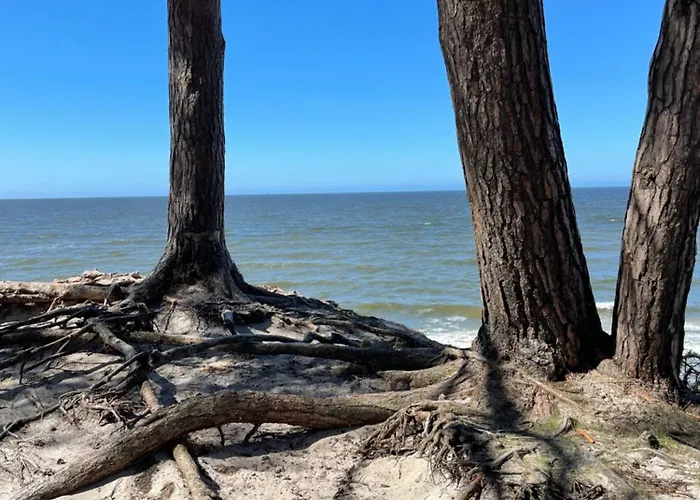 بيت للعطل Butterfly *