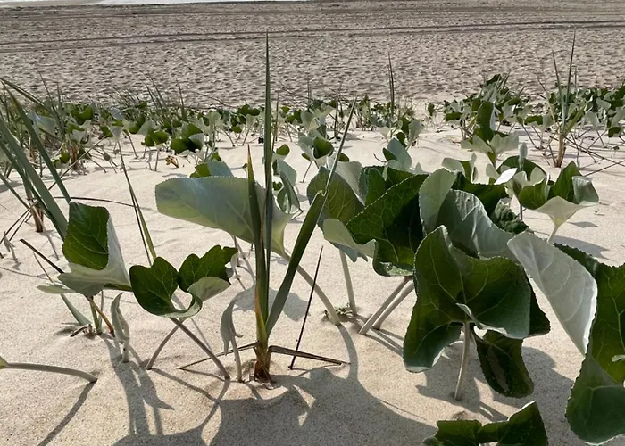 Butterfly Casa vacanze *