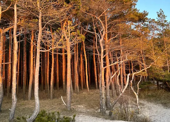 بيت للعطل Butterfly بالانغا